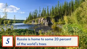 TOP 10 Interesting facts about RUSSIA