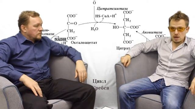 СФЕРА РАЗУМА. ОВОЩНОЙ КОМБИНАТ смотреть онлайн