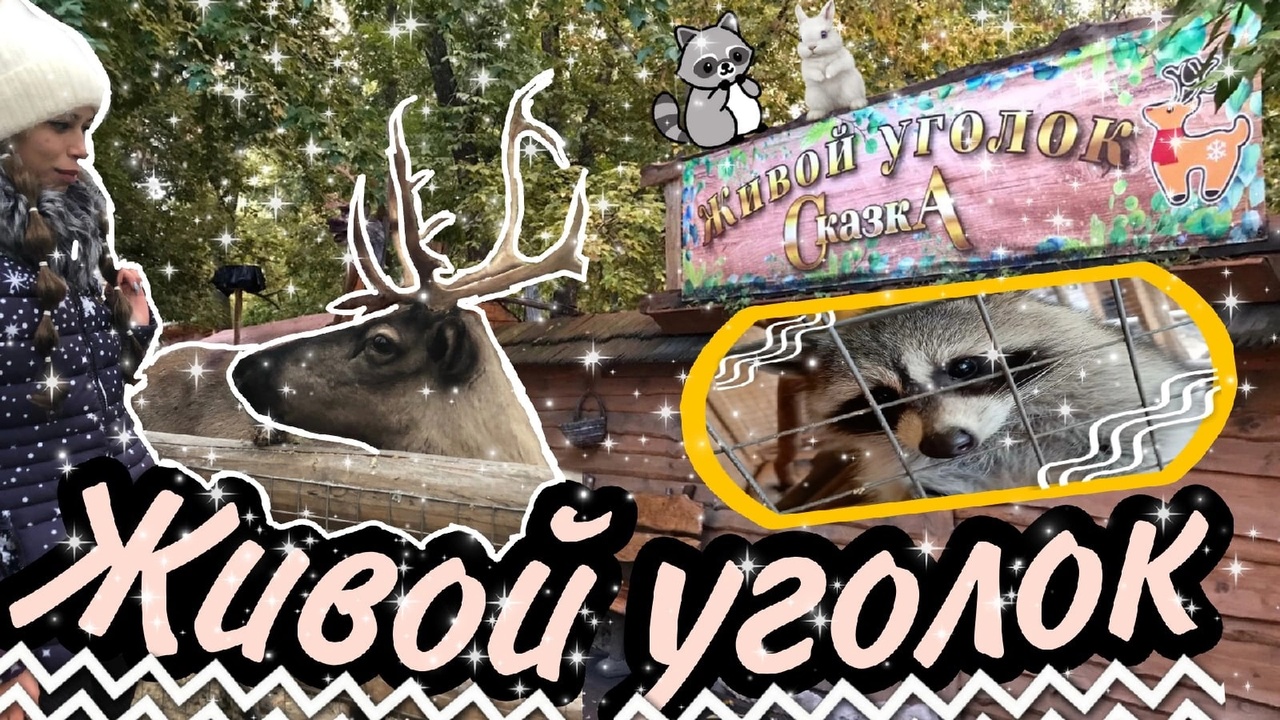 Живой уголок/Олени/Еноты/Лама/Дикобразы смотреть онлайн