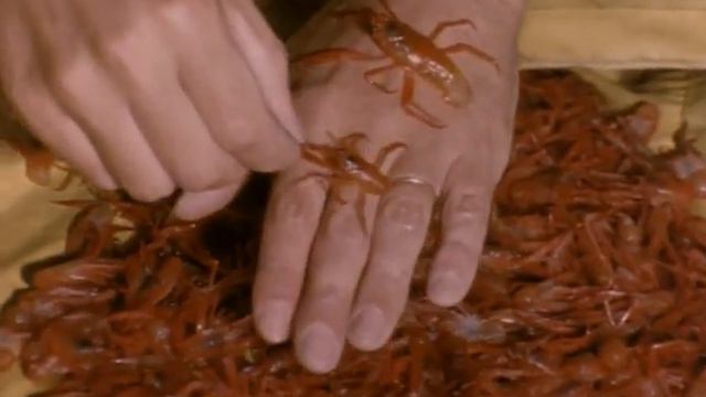 08 1969 Киты пустыни смотреть онлайн