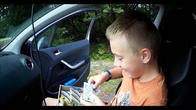 ВЛОГ. Псковская область. обзор на ИРП. смотреть онлайн