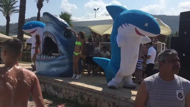 Пенная вечеринка на пляже акула сошла с ума и тверкает!!