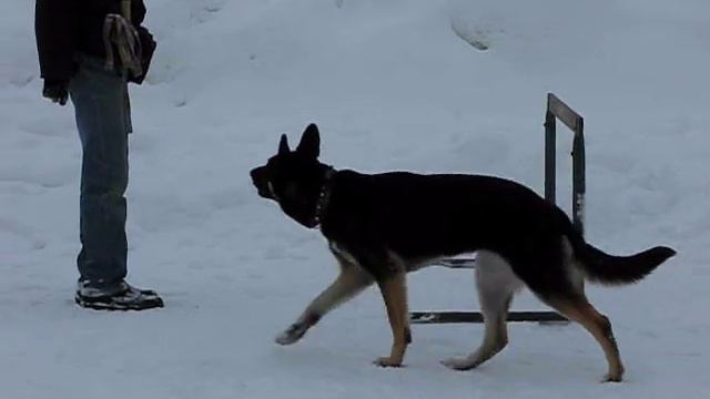 Прыжок через метровый барьер - с замедлением в 4 раза смотреть онлайн