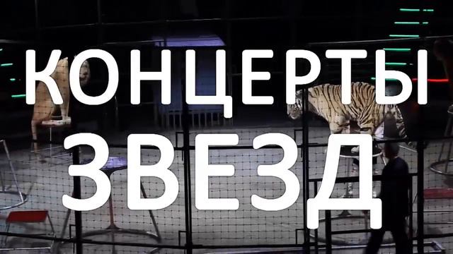 Прямая трансляция пользователя Горная Страна Шерегеш смотреть онлайн