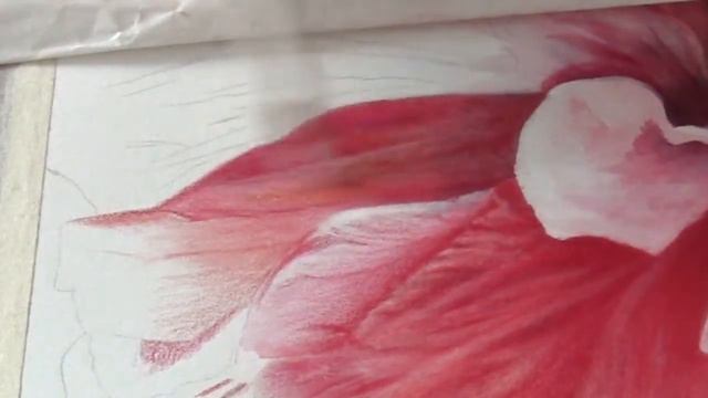 Swirl - a colored pencil/watercolor speed painting of a hibiscus PART 2 смотреть онлайн