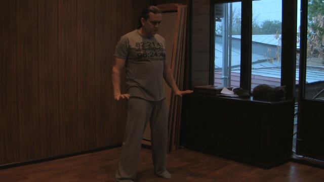 Siu Llim Tao - Закариадзе Борис Васильевич смотреть онлайн