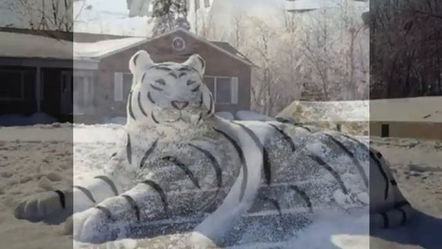 Photo снеговики Story1 смотреть онлайн