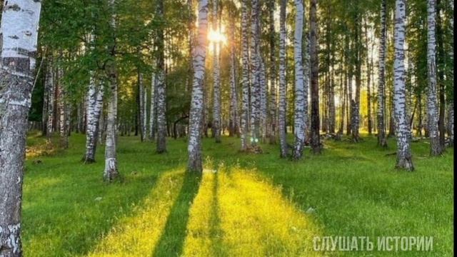 Увидев впервые родную мать, Маша была в полном шоке... смотреть онлайн