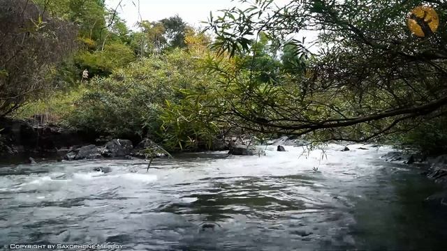 The Best Saxophone Music Of All Time - Saxophone Romantic Songs (Instrumental Background Music)