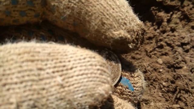 ВРП. Находки по старине с металлоискателем смотреть онлайн