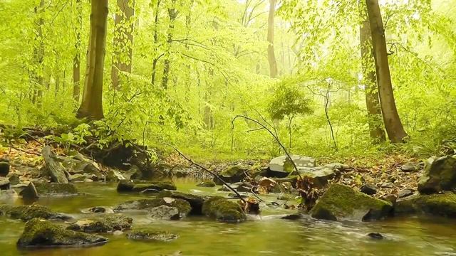 Видео для души: Лучшее для релакса. Безмятежная природа с ласковой музыкой. #природа #релакс #relax