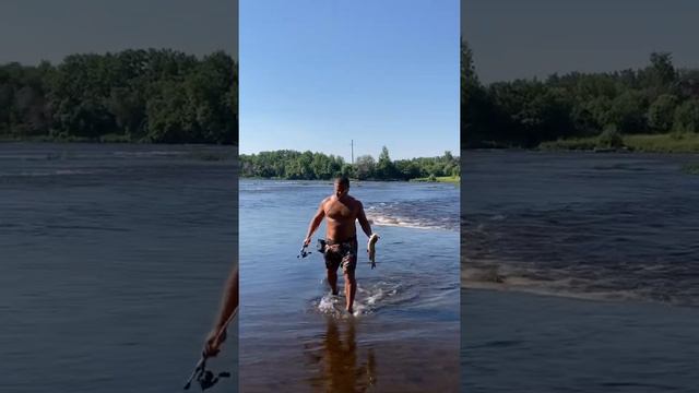 Июньский голавль. 27 июня 2022 #рыбалка смотреть онлайн