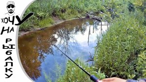 Открытие по ЩУКЕ на МИКРОРЕЧКЕ _ со спиннингом по лесному ручью