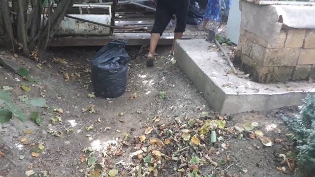 Сбор урожая фундука 12 09 смотреть онлайн