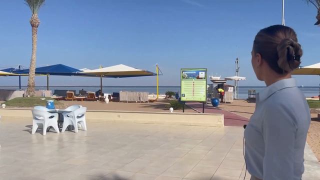 Royal Albatros Moderna 5* (Египет, Шарм-Эль-Шейх) Обзор отеля: пляж ✦ ONETOUR
