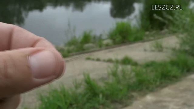 Cralusso Surf król wszystkich spławików смотреть онлайн