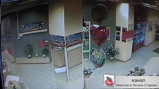 ЛЕТАЮЩАЯ КОШКА НОЧНОЙ СЮРПРИЗ FLYING CAT NIGHT SURPRISE смотреть онлайн