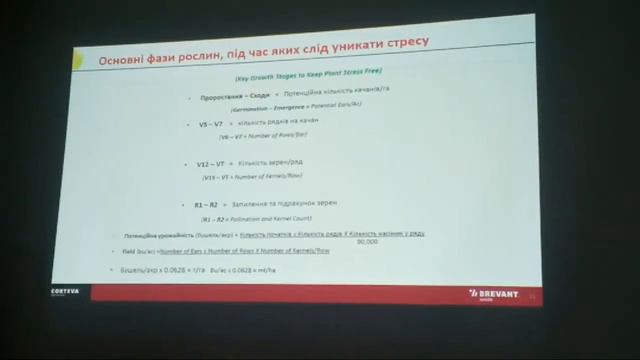 Кукуруза, подсолнечник. Перспективные гибриды на 2020 год смотреть онлайн
