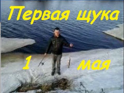 Первая щука, первое мая