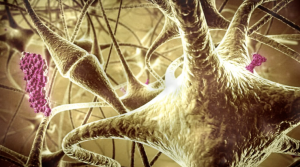 "Нейротрофическая активность ЦЕРЕБРОЛИЗИНА". Визуализация механизма действия препарата Cerebrolysin