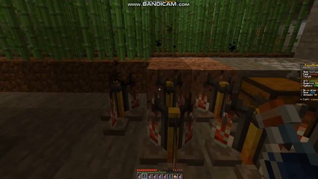 Топ Заработок на сервере CUBEWORLD