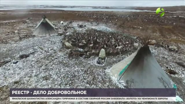 Долгожданный закон об учёте коренных малочисленных народов принят в первом чтении смотреть онлайн