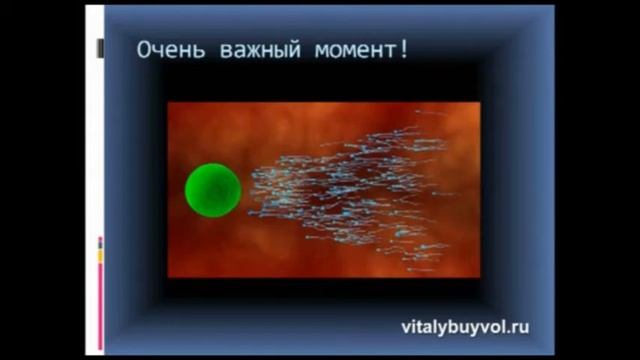 Виталий Буйвол. Муж и жена. Крепкая связь мужа и жены смотреть онлайн