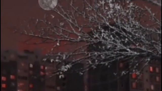 #мемы #шлепа белая ночь опустилась как облако/ смотреть онлайн