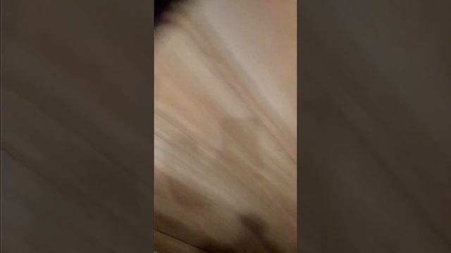 Кукла и коляска смотреть онлайн