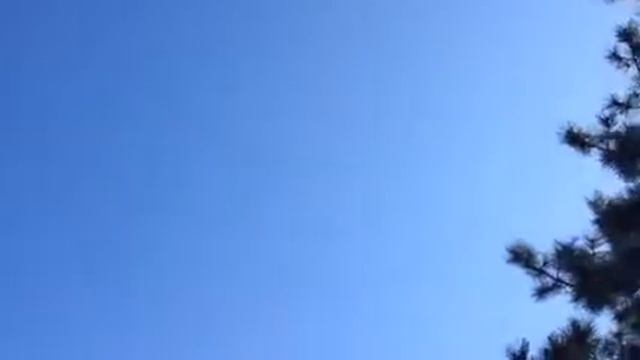 Журавли возвращаются смотреть онлайн