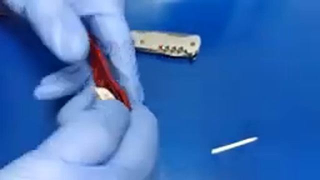 Victorinox Picknicker - чистка и смазка ножа #чистка #смазка #уход смотреть онлайн