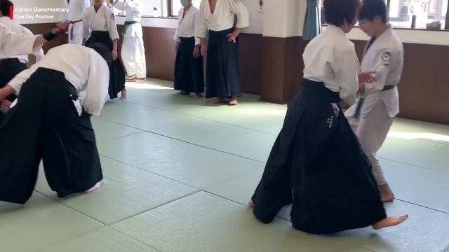 Aikido Documentary - One Day Her Training In Aikido Shinburenseijuku