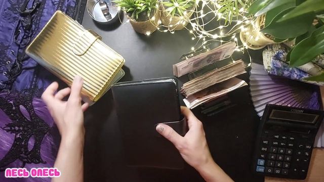 #015 Аванс октября. Хорошее настроение и кролики! #деньги #cash #системаконвертов #семейныйвлог смотреть онлайн