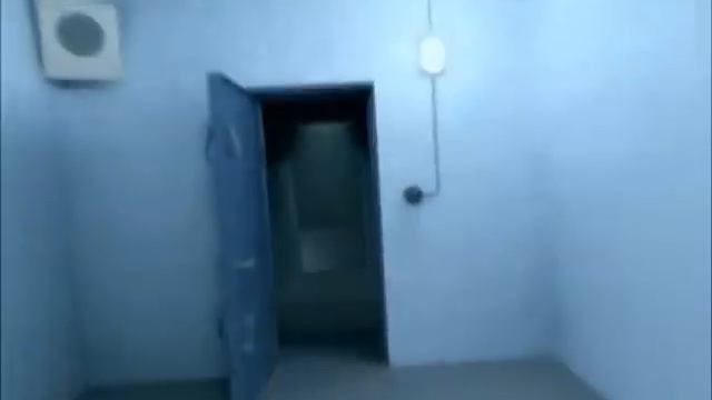 Hitlers Ende-vol.1.wmv