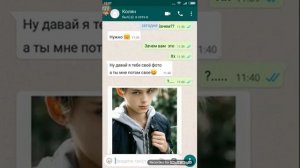 Переписка десятилетней девочки с педафилом