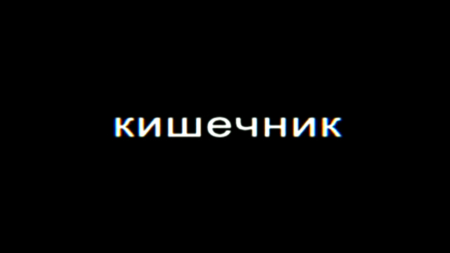 Кишечник