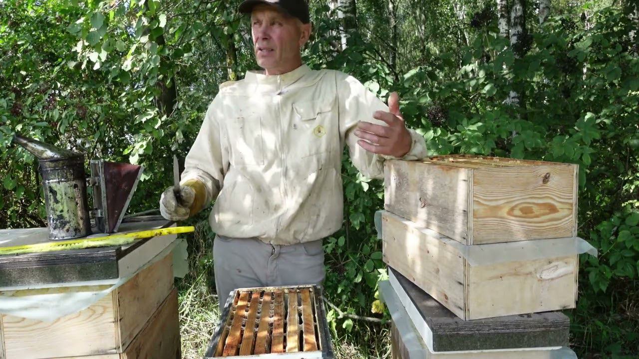 стартовая подготовка 6-ти рамочников к зимовке смотреть онлайн