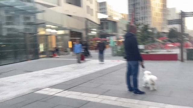 Галопом по жизни. Ищем стаж для школьников. ВЛОГ из Франции смотреть онлайн