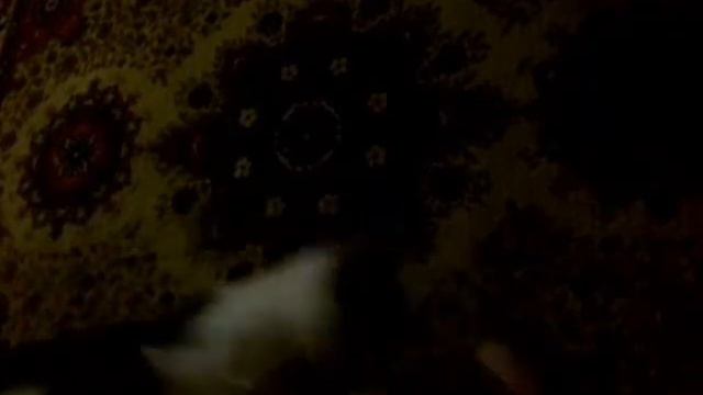 Помогите иму! Он бедняга давно хоть покушать вы дайтье что есть! смотреть онлайн