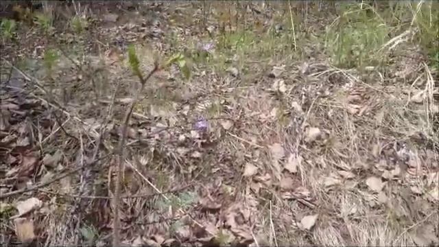 Прогулка у морю Советская гавань бухта западная смотреть онлайн