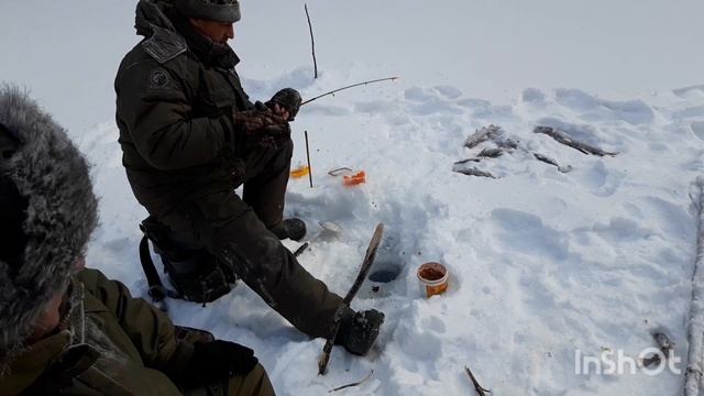 За крупным ленком и хариусом на север Приморья!!! ЧАСТЬ 1 смотреть онлайн