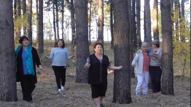 Осень 2019 г. Занавесочки из Сватов