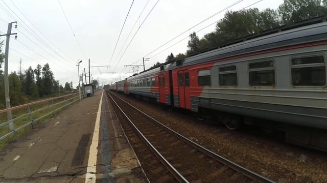 Электропоезд ЭД4М-0213 платформа Зосимова Пустынь 11.09.2016 смотреть онлайн