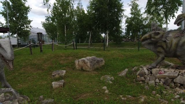 Съёмка на экшен камеру DJI Osmo Action.