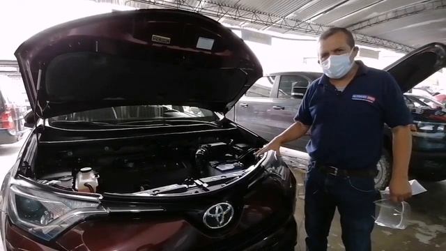 Gas Natural  V/s  Hibrido