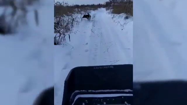 тофалар 500 толкач, покатушки смотреть онлайн