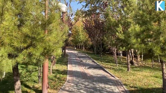 БАҚШАДАҒЫ ЖАЛҒЫЗ ГҮЛ, ҒИБРАТТЫ ОЙ САЛАРЛЫҚ ОҚИҒА, Керек арнасы смотреть онлайн