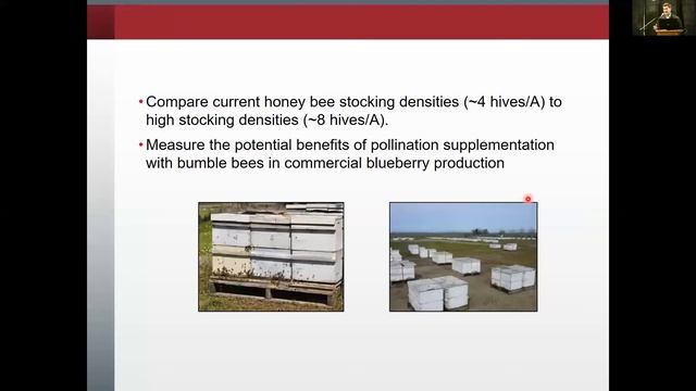 Pollinators and Pollination Tools in Northwest Highbush Blueberry Matt Arrington смотреть онлайн