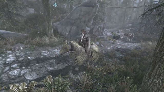Do You Know How To Ride That Animal? - Skyrim AE