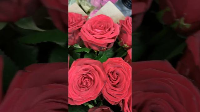 Розы Ред Наоми 35 шт. Монобукет №95. смотреть онлайн